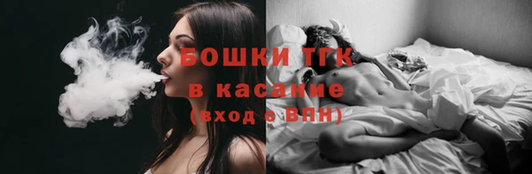 гашик Аркадак