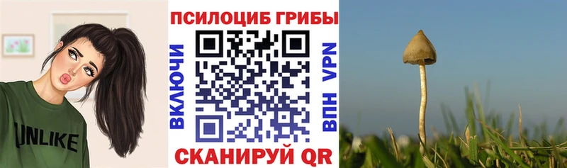 Псилоцибиновые грибы Cubensis Балашиха